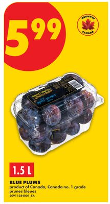 BLUE PLUMS, 1.5 L
