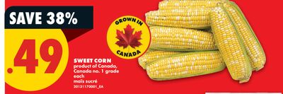 SWEET CORN