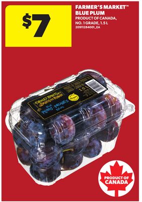 FARMER'S MARKET™ BLUE PLUM, 1.5 L
