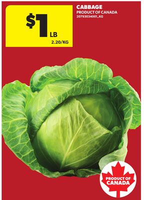 CABBAGE