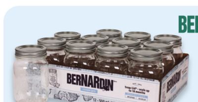 BERNADIN Decorative regular mouth 500 mL