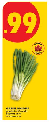 GREEN ONIONS