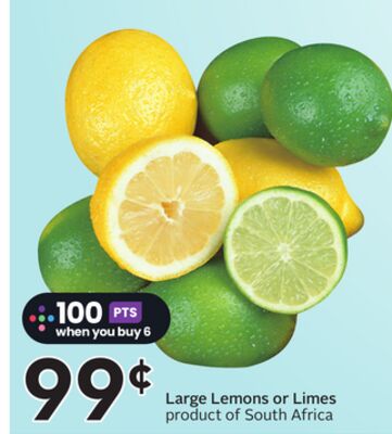 Large Lemons or Limes