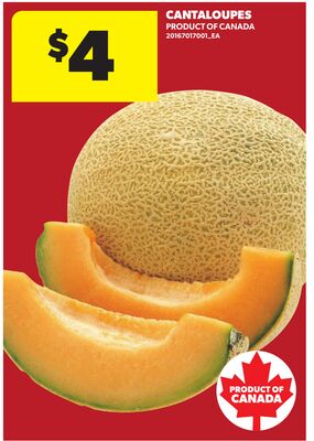 CANTALOUPES