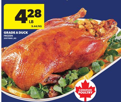 GRADE A DUCK