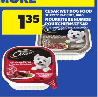 CESAR WET DOG FOOD, 100 G