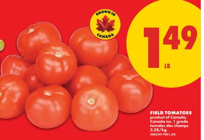 FIELD TOMATOES