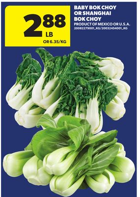 BABY BOK CHOY OR SHANGHAI BOK CHOY