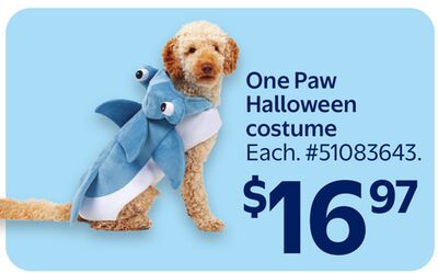 One Paw Halloween Costume