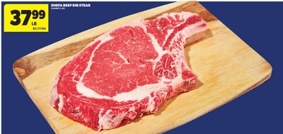 SHEFA BEEF RIB STEAK