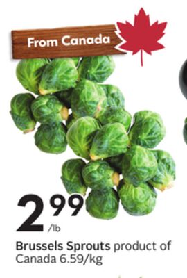 Brussels Sprouts