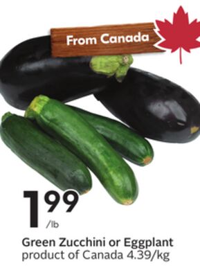 Green Zucchini or Eggplant