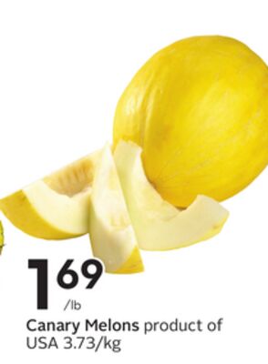 Canary Melons