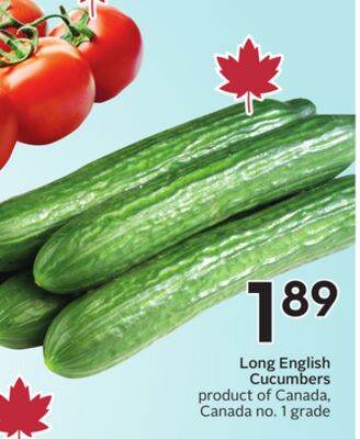 Long English Cucumbers