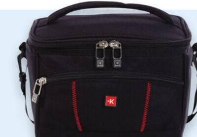 Large insulated lunch bag