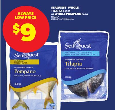SEAQUEST WHOLE TILAPIA, 1.36KG OR WHOLE POMPANO, 800G