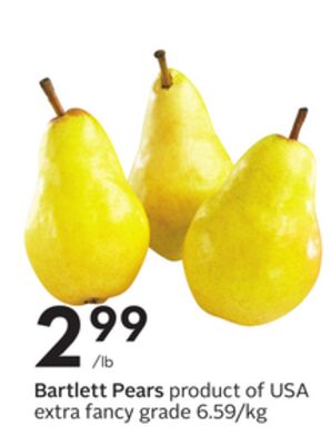 Bartlett Pears