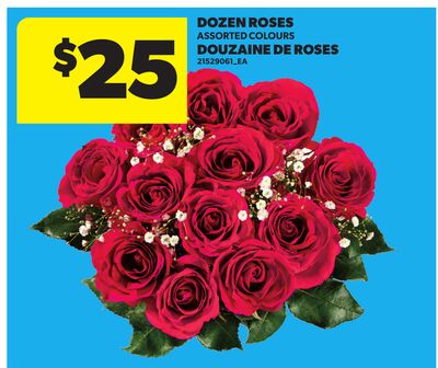 DOZEN ROSES