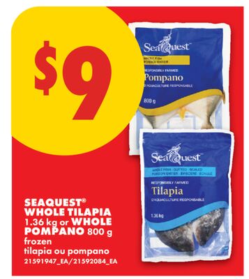 SEAQUEST® WHOLE TILAPIA, 1.36 KG OR WHOLE POMPANO, 800 G