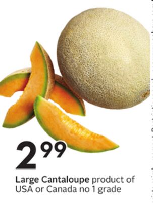 Large Cantaloupe