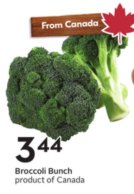 Broccoli Bunch