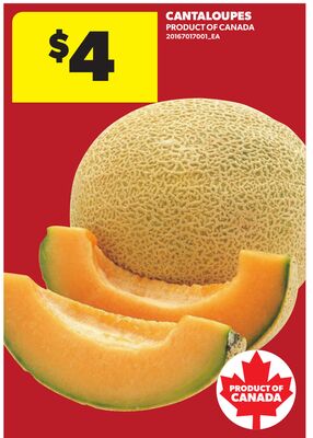 CANTALOUPES