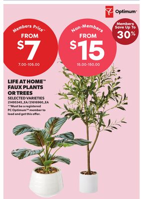 LIFE AT HOME™ FAUX PLANTS OPTIMUM.Members