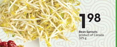 Bean Sprouts