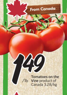 Tomatoes on the Vine