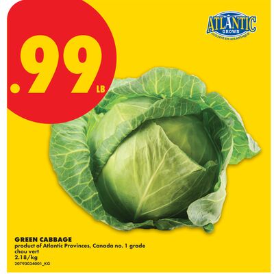 GREEN CABBAGE