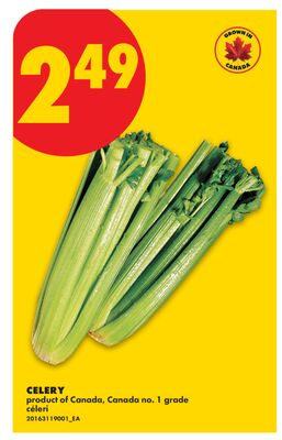 CELERY