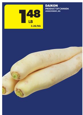 DAIKON