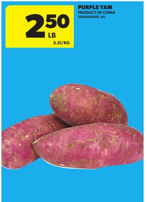 PURPLE YAM