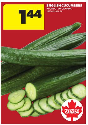 ENGLISH CUCUMBERS