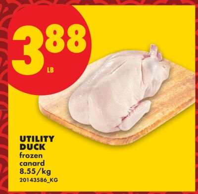 UTILITY DUCK