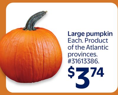 Large pumpkin