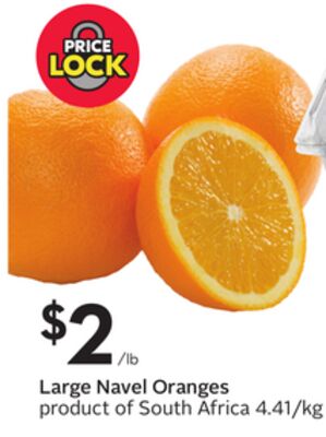Large Navel Oranges