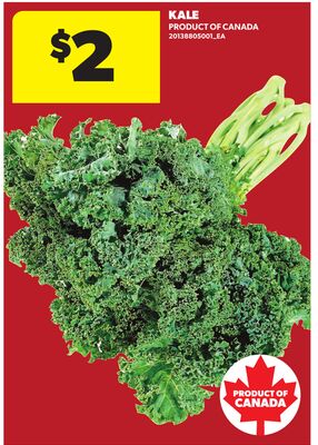 KALE