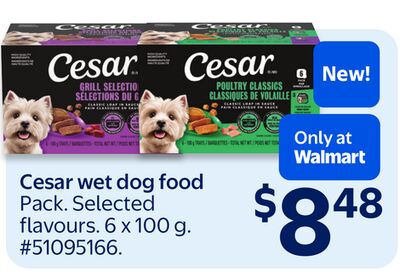 Cesar wet dog food