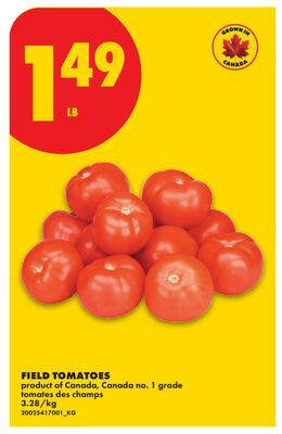 FIELD TOMATOES