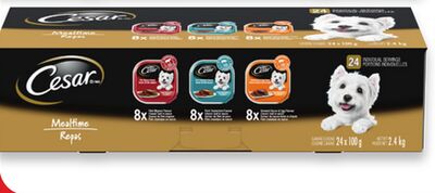 Cesar wet dog food variety pack