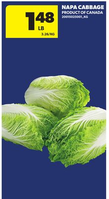 NAPA CABBAGE