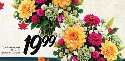 Dahlia Bouquet