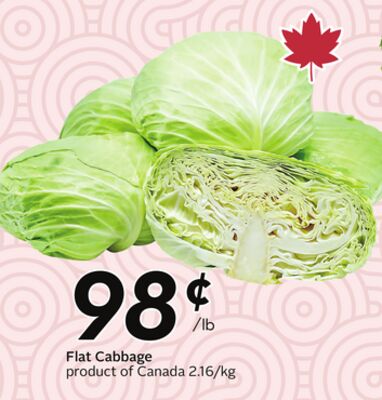 Flat Cabbage