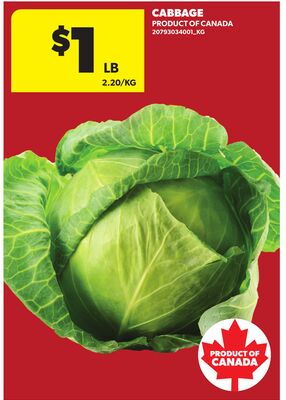 CABBAGE