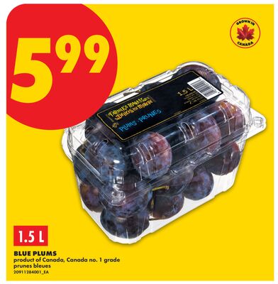 BLUE PLUMS