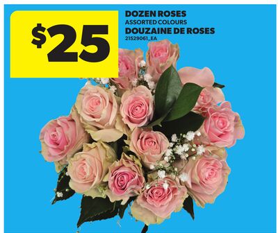 DOZEN ROSES