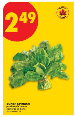BUNCH SPINACH
