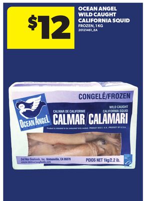 OCEAN ANGEL WILD CAUGHT CALIFORNIA SQUID, 1 KG