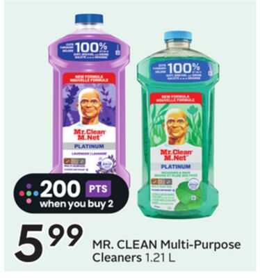 MR. CLEAN Multi-Purpose Cleaners - Big Earn